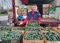 Prețurile de la Agro Transilvania Cluj, 18 septembrie 2026. Cât costă legumele, fructele și strugurii